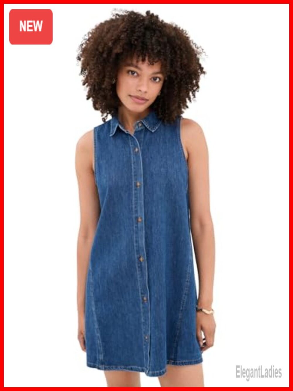 Z Supply New Day Denim Mini Dress Collared Sleeveless Casual